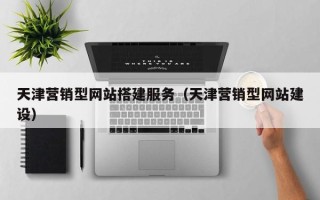 新余天津营销型网站搭建服务（天津营销型网站建设）