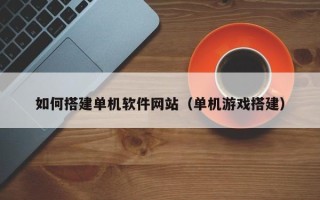 新余如何搭建单机软件网站（单机游戏搭建）